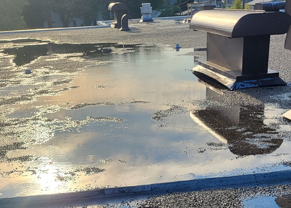How to Spot Early Signs of Flat Roof Leaks and Damage